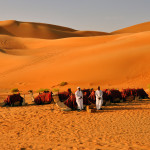 Liwa Desert, Abu Dhabi